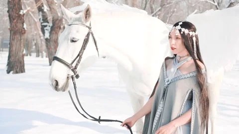 Charming gorgeous dark princess in a fabulous winter forest with white pegasus Stock Footage 103595384