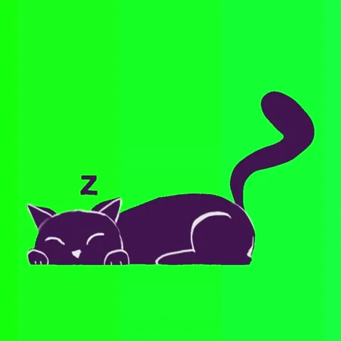 Charming Halloween Cat Sleeping - Chroma Key Background Video Stock Footage 286760432