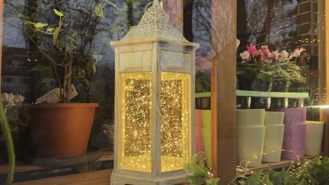 A Charming Lantern with Twinkling Lights Perfectly Placed in a Beautiful Garden Stock Footage 304833512