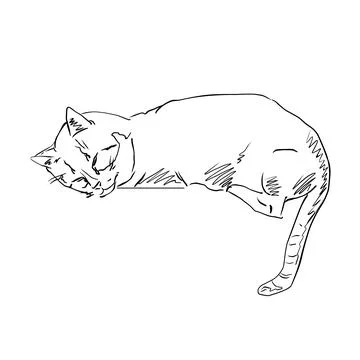 Charming line drawing of a cute cat, showcasing its adorable nature and detailed Stock Illustration