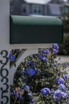 Charming Mailbox Flowers Stock Photos