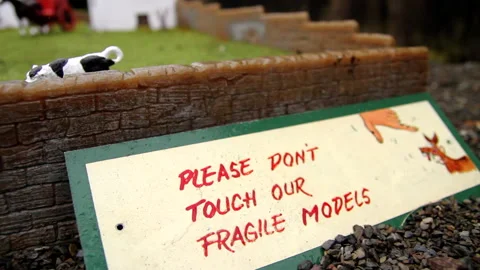 "A charming miniature display featuring animal models, complete with a quirky Vidéo 301885634