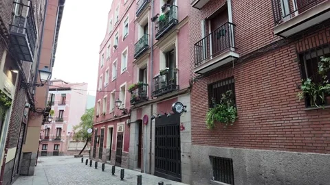 Charming Old Brick Buildings: A Glimpse into the Past Stock Footage 293631108