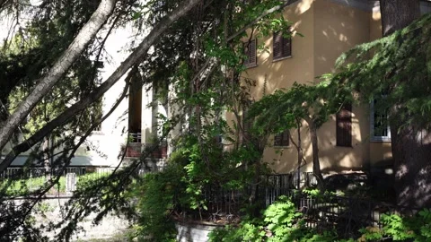 Charming old house hidden behind tall trees leafy shadows dancing on warm yellow Stock Footage 310056729