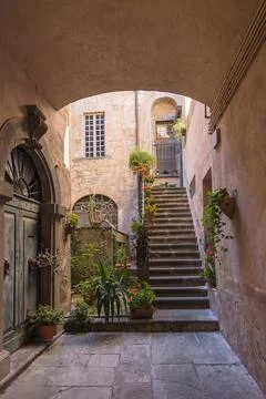 Charming Outdoor Courtyard Featuring Rustic Staircase and Vibrant Potted Plan Stock Photos