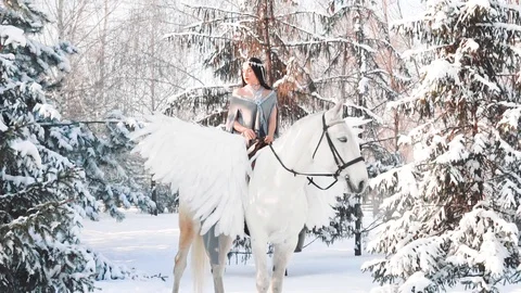 Charming pretty lady on pegasus sits in long gray cloak, puts her black hair Stock Footage 102706297