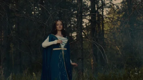 Charming queen in a forest. Video stock 92216027