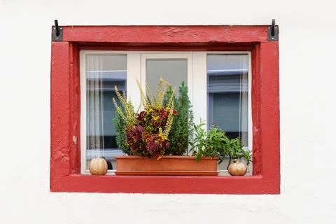 Charming Red Window Frame with Autumn Flower Box in Rdesheim Germany Stock Photos