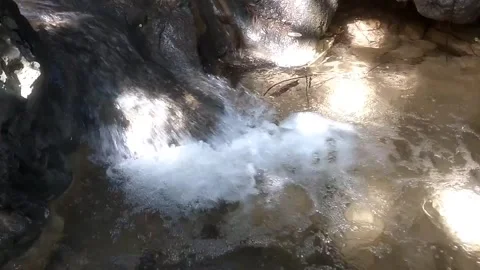 Charming river flowing in the forest 库存影片 333122443