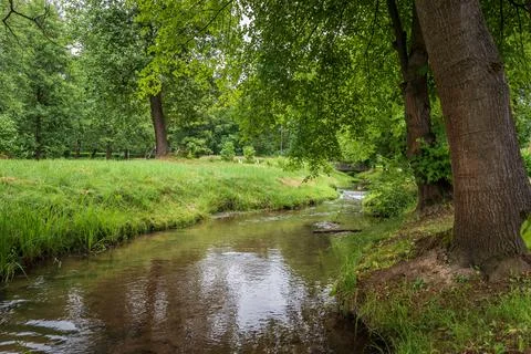 A charming river with a sandy bottom flowing through the spa park in Horyniec Stock Photos