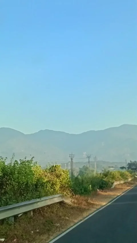 A charming road nestled within a forest Stock Footage 278052150
