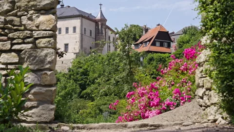 Charming Rooftops Above Lush Summer Garden Stock Footage 313844922