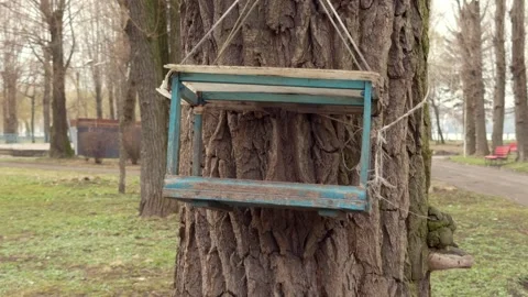 Charming Rustic Bird Feeder Hanging on Tree Within a Lovely Park Setting for Stock Footage 305267400