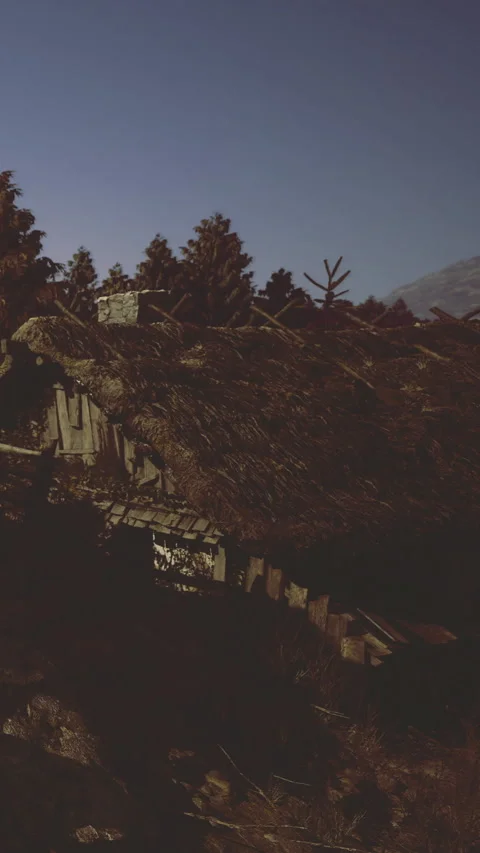 Charming rustic cabin nestled in the forest under a twilight sky Stock Footage 340079101