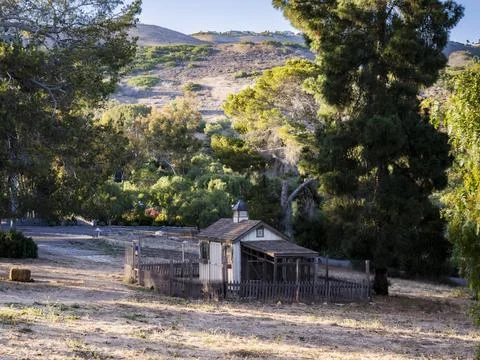 Charming rustic chicken coop nestled in a tranquil rural landscape Fotos de archivo