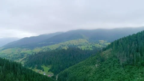Charming scenic landscape, white mist and green Stock Footage 314897595