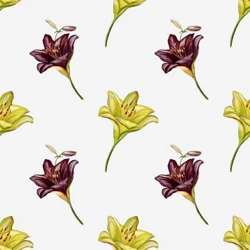 Charming seamless watercolor pattern featuring lilies in vibrant colors for.. Stock Illustration