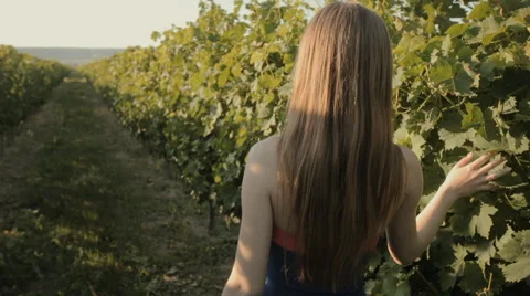 Charming slim girl in a strapless dress walks along the vineyards Stock Footage 59382853