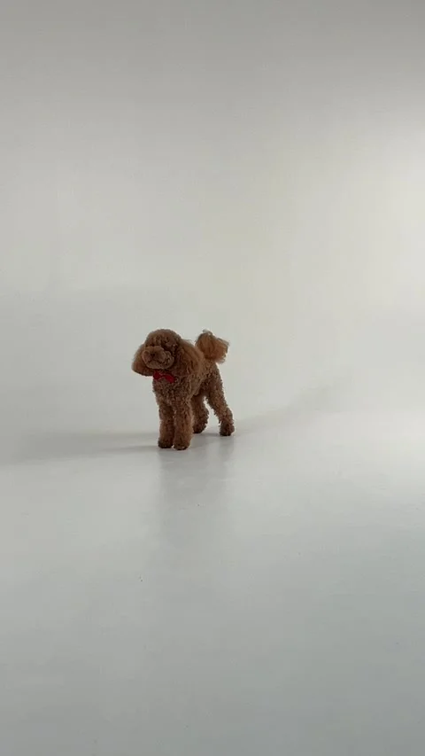 A Charming Small Brown Dog Figurine Set Against a Simple Minimalist Background Stock Footage 305402383