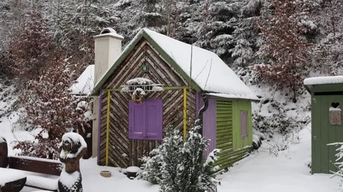 Charming snowy cabin surrounded by winter forest. The rustic house with purple a Stock Footage 298264294