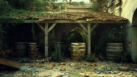 Charming stone archway adorned with barrels and gentle light Stock Footage 342431686