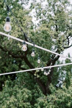 Charming string lights among trees set festive mood for outdoor evening Stock Photos