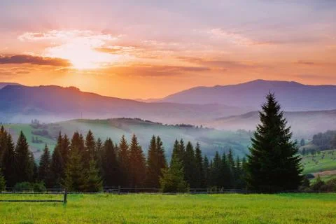 Charming summer sunset Stock Photos