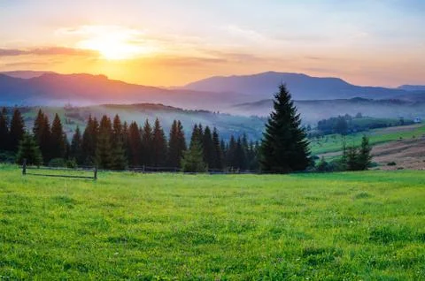 Charming summer sunset Stock Photos
