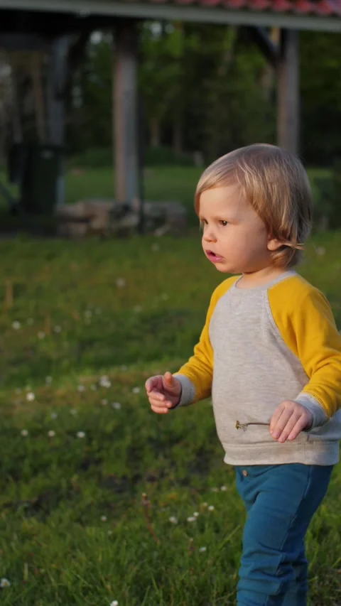 A Charming Toddler Joyfully Playing in the Beautiful Green Fields Stock Footage 315536674