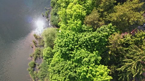 Charming top aerial drone view of sunrise over the calm forest lake. Clouds sky Stock-Footage 201465719
