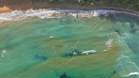 Charming top-down drone view of Riviera Beach at Għajn Tuffieħa, Malta with 스톡 동영상 330833017