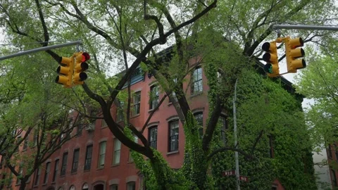 Charming Urban Intersection Decorated with Lush Greenery and Vintage Style Stock Footage 316511748