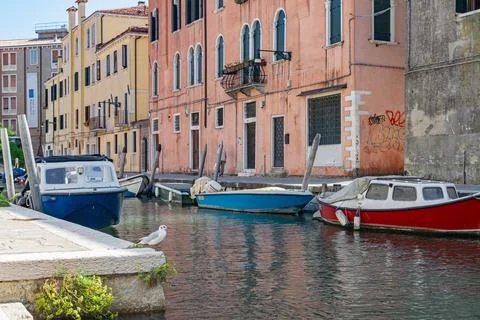 A charming view of boats along a Venetian canal, with a seagull perched Stock Photos