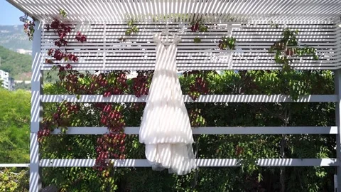 Charming wedding attire displayed under natural arch with scenic background Stock Footage 343167516