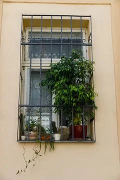A Charming Window Display Adorned with Lush Green Plants Creating a Serene Stock Photos