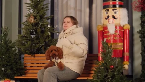 A charming winter scene with the Nutcracker, a soap poodle and a girl on a bench Stock Footage 294047140