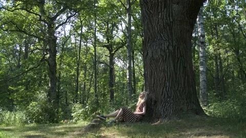 Charming woman resting by a large tree in the park Stock Footage 156431370