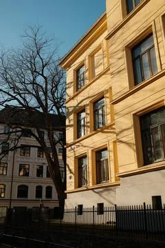 Charming Yellow Building with Leafless Tree Graphic Foto stock