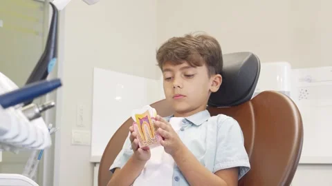 Charming young boy joyfully smiles while holding a colorful tooth model Stock Footage 311649782