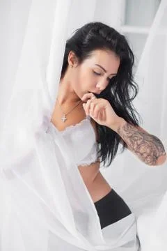 Charming young lady posing in studio. Stock Photos
