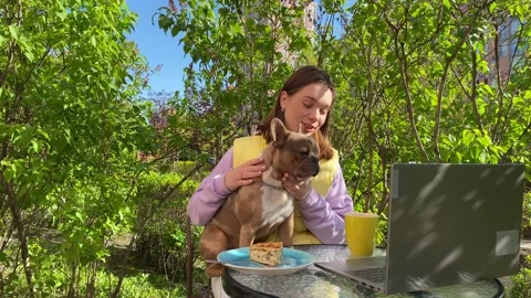 Charming young pet owner with small dog holds video call outdoors Stock Footage 240537686