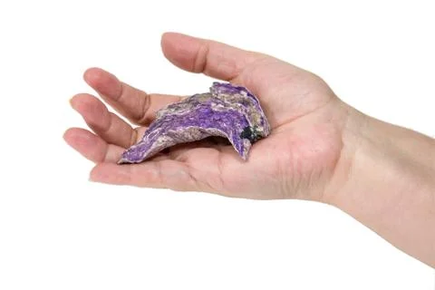 Charoit in palm of eldery lady Foto stock