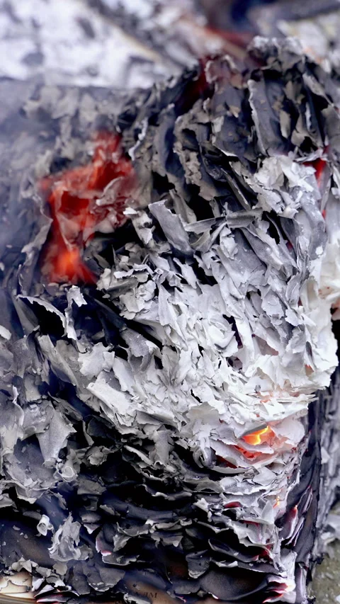 Charred book pages in fire Vertical video. Video stock 342928982