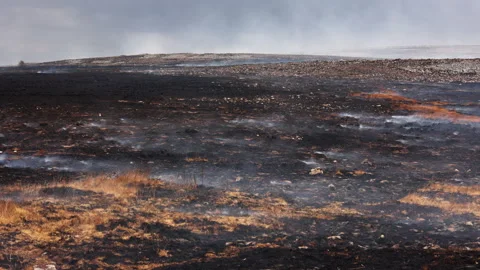 Charred Earth and Drift Smoke on Brecon Beacons Moors, Handheld Shot Stock-Footage 343574661