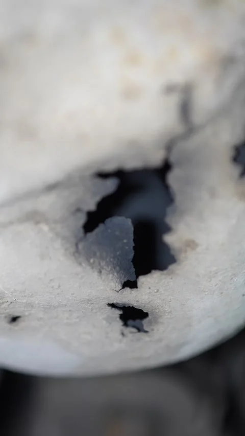 Charred Eggshell Close-Up Mystery. Field Label Value  
current CURRENT (4 Stock-Footage 345912718