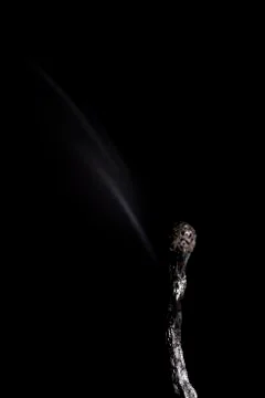 A charred, extinguished match on a black background, shot close-up. Stock Photos
