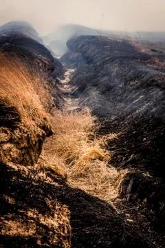 Charred ground from a fire Stock Photos
