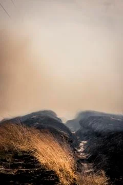 Charred ground from a fire Stock Photos