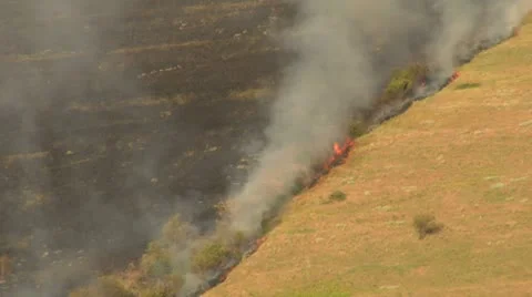 Charred hillside burns Video stock 21540114