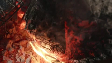 Charred Log and Flickering Flame Close-Up Stock Footage 310787657